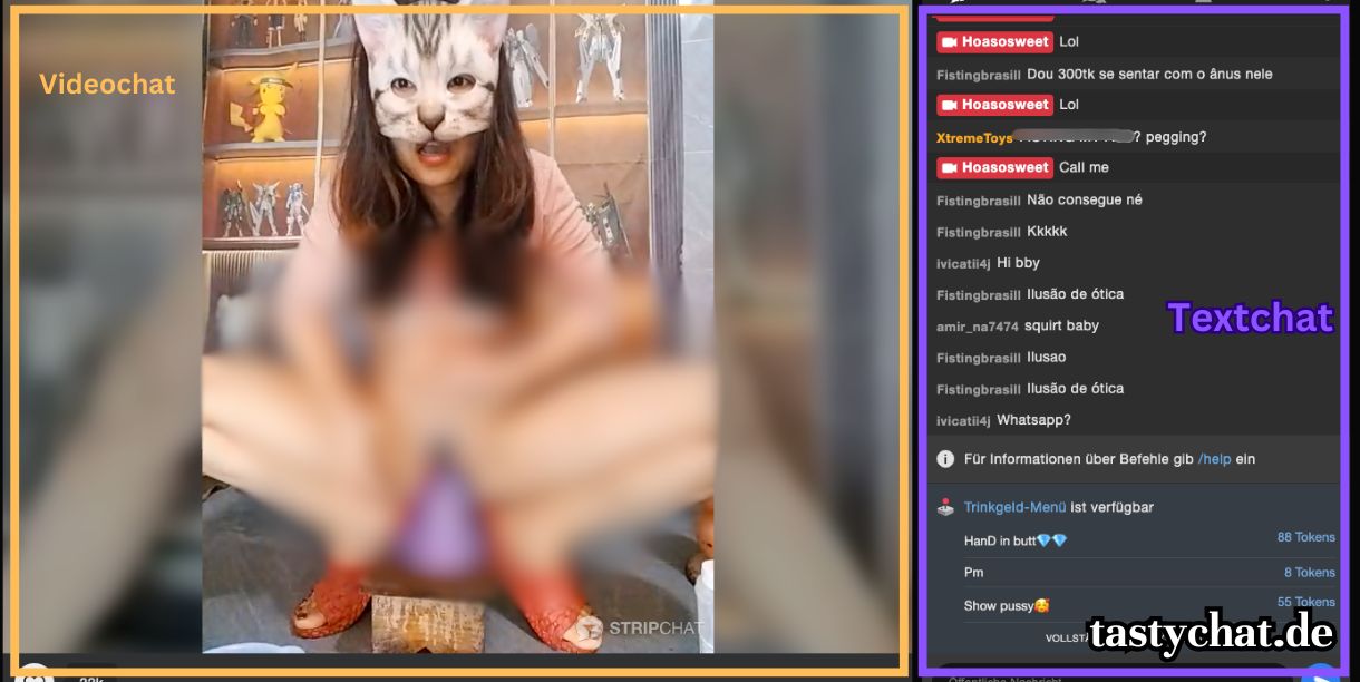 Stripchat: Der Livestream